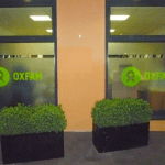 Oxfam Bonn - Glasdekor