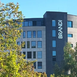 brandi_titelbild-logo_buchstaben